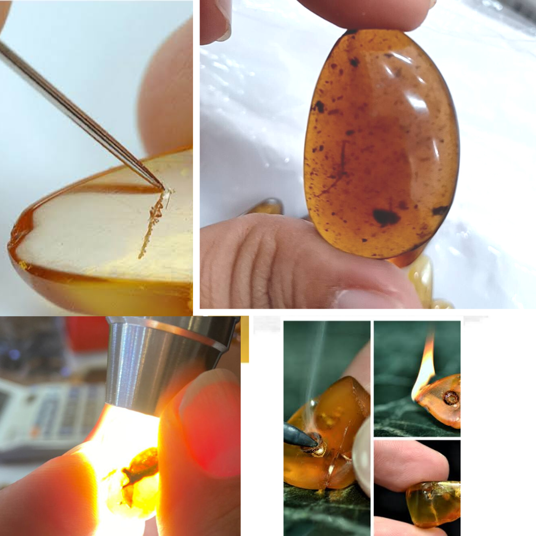 Amber Scientific