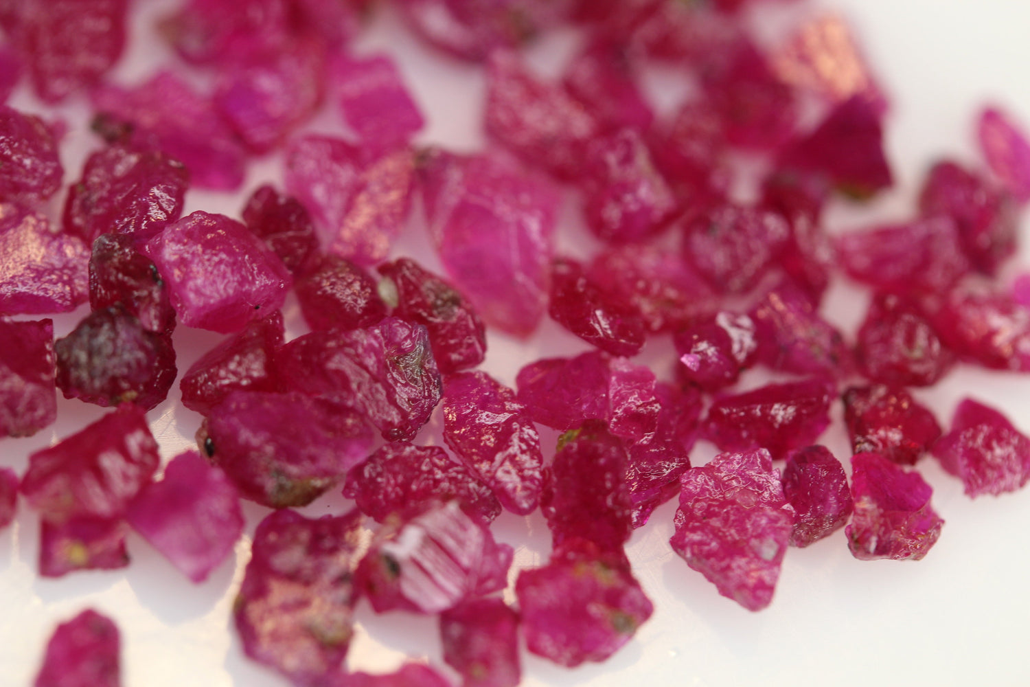 20 carats Pigeon Blood Raw Ruby Stones | Kashmir Rubies