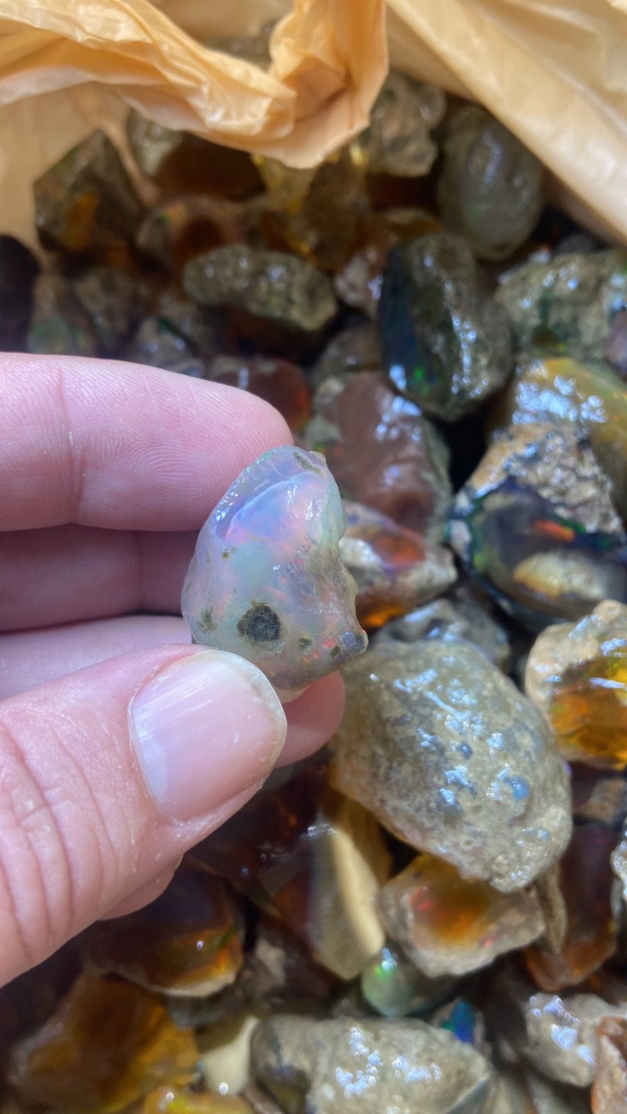 Rough Opal Deals under 1 to 3 kg