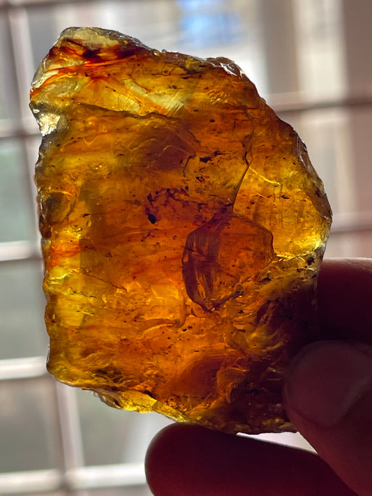 24.73 grams Amber Raw Stone for Collection | Lapidary