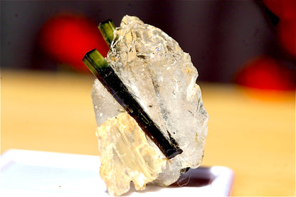 Buy Stak Nala Tourmaline on Quartz