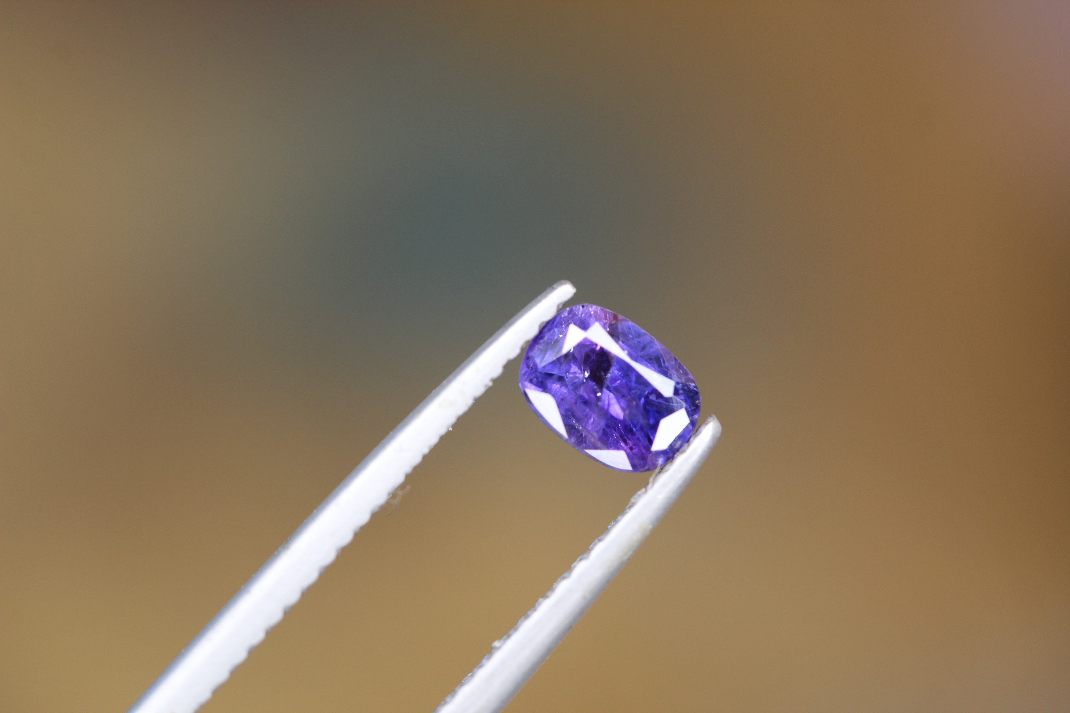 Kashmir sapphire price hot sale per carat