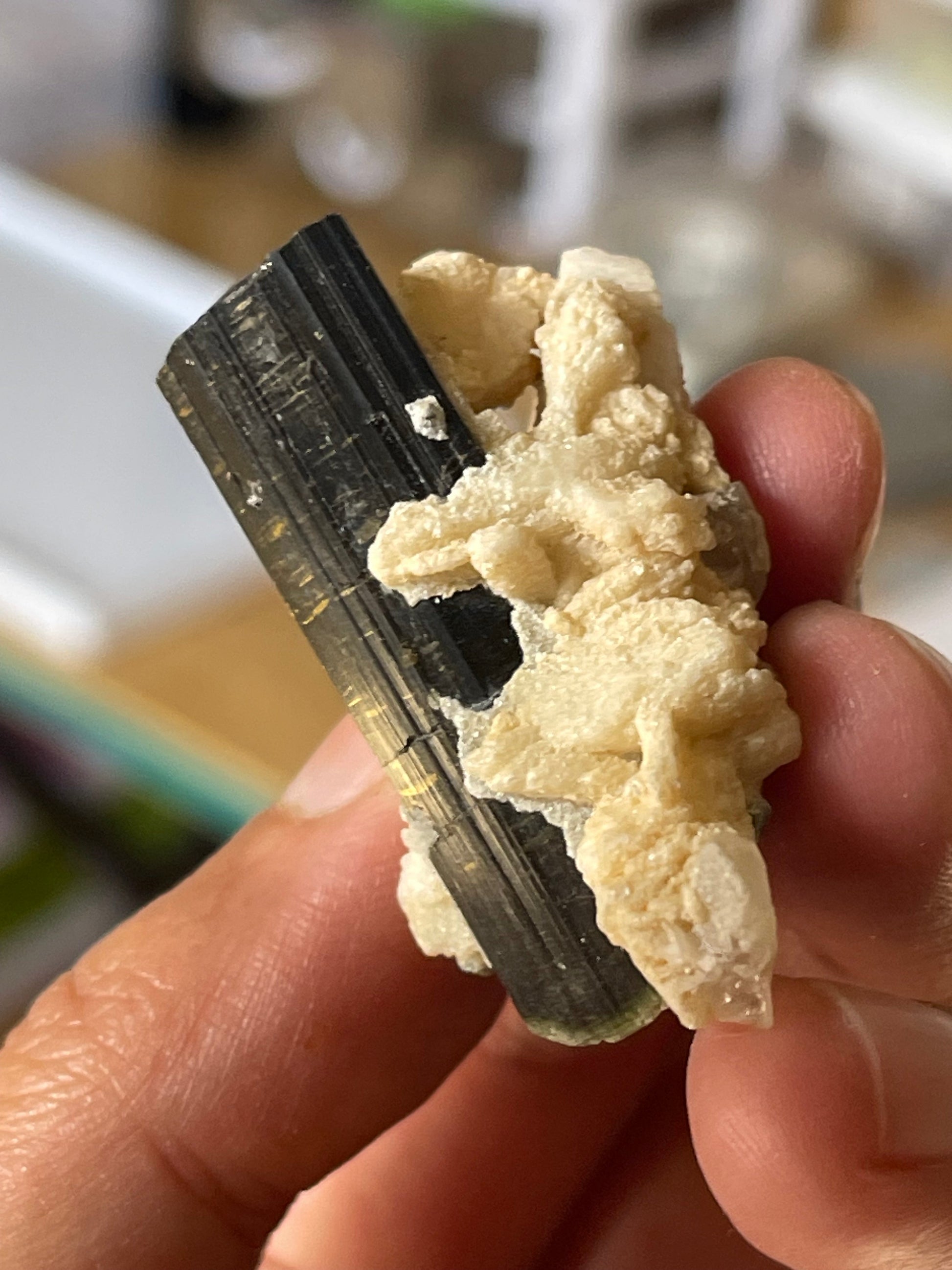 Black tourmaline Crystal on feldspar