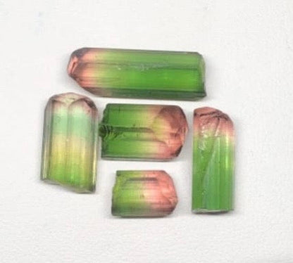 37 carats Rate Bi color Tourmaline Rough | Watermelon Tourmaline