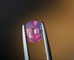 Batakundi Sapphire