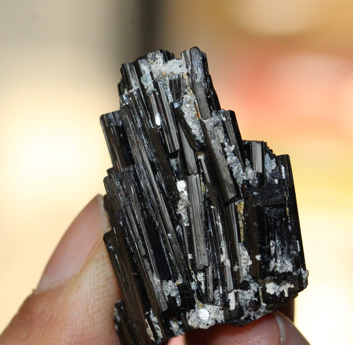 Buy Black Tourmaline