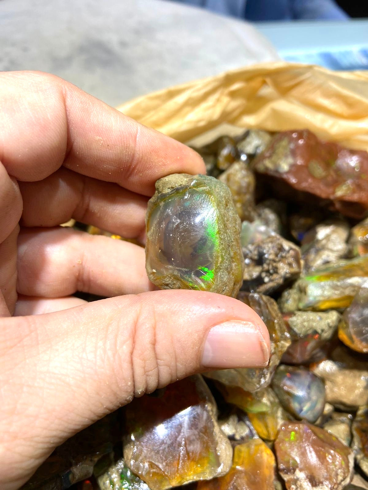 Rough Opal for Lapidary | Raw Opal Deals under 1 to 3 kg