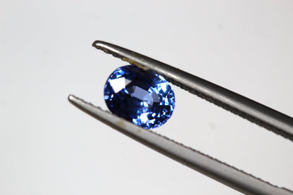 ceylon blue sapphire for Sale