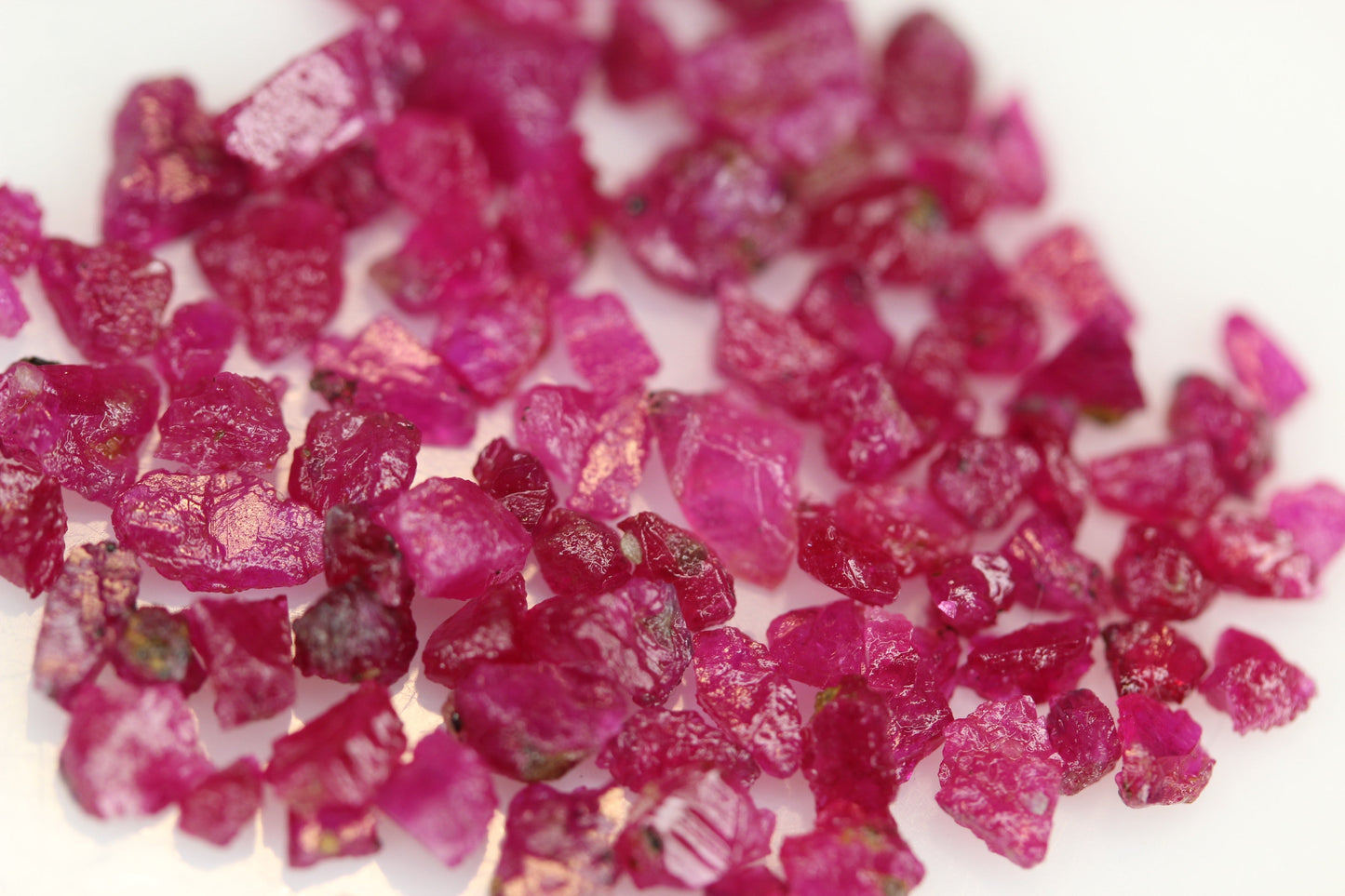 20 carats Pigeon Blood Raw Ruby Stones | Kashmir Rubies