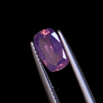 1.5 carats Kashmir Pink Sapphire