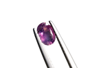 You May Like This Sapphire.