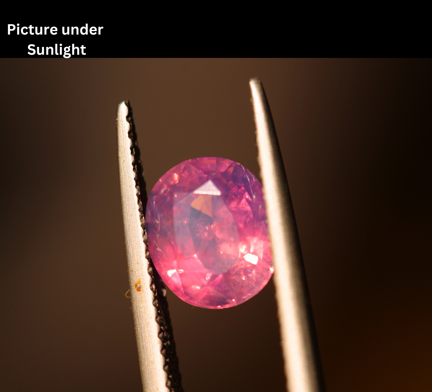 pink sapphire color of Kashmir Sapphire is quite unique