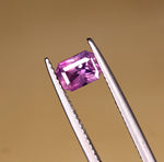 You Also May Like This Kashmir Sapphire pink 