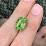 Ludwigite Included Peridot Loose Gem