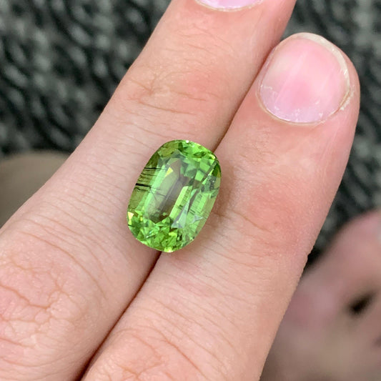 Ludwigite Included Peridot Loose Gem