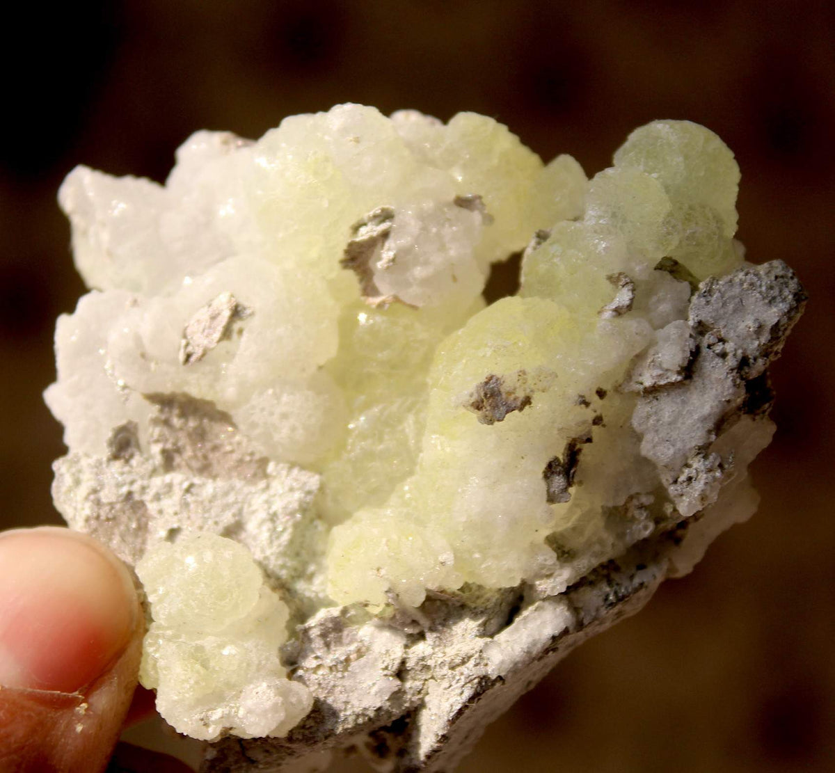 Yellow Brucite on Matrix