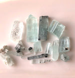 aquamarine decorator specimens