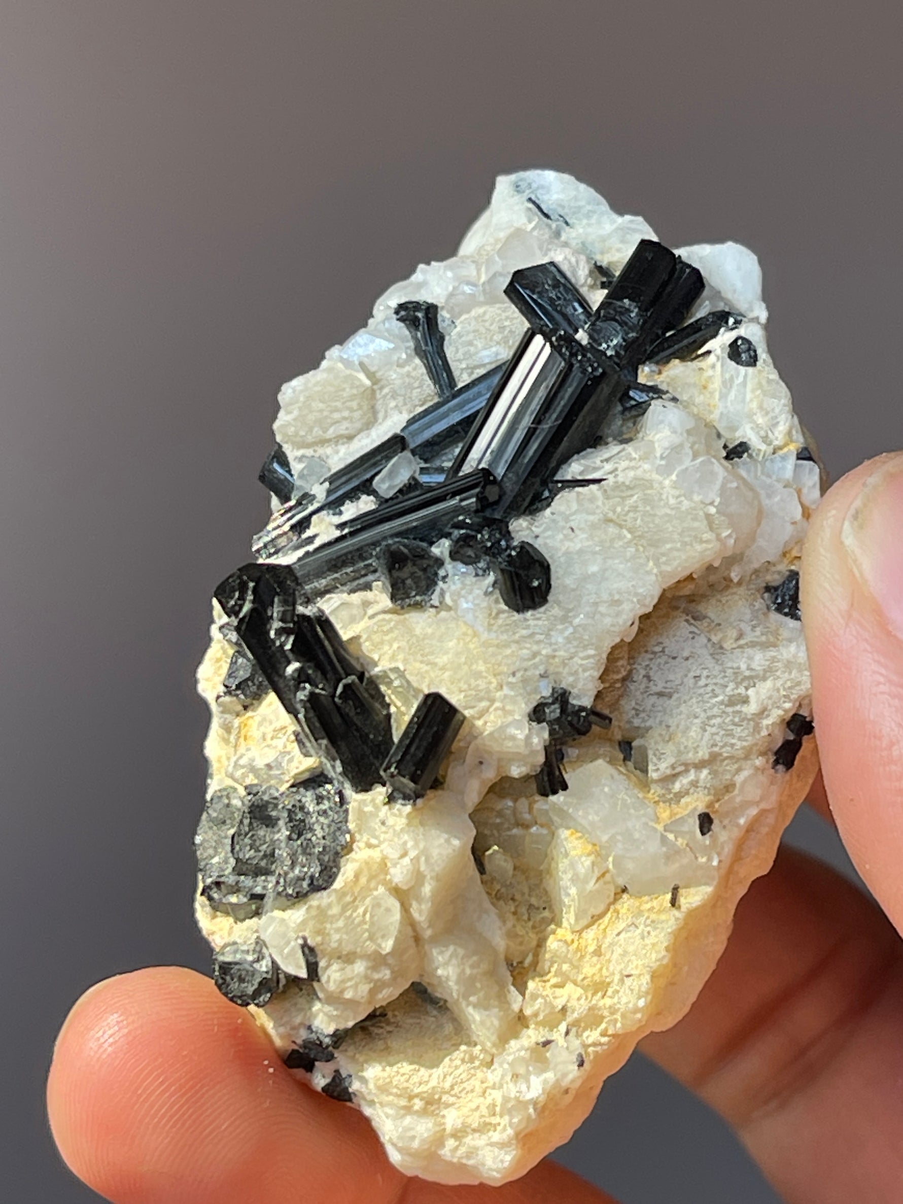 black tourmaline crystal on albite for collectors