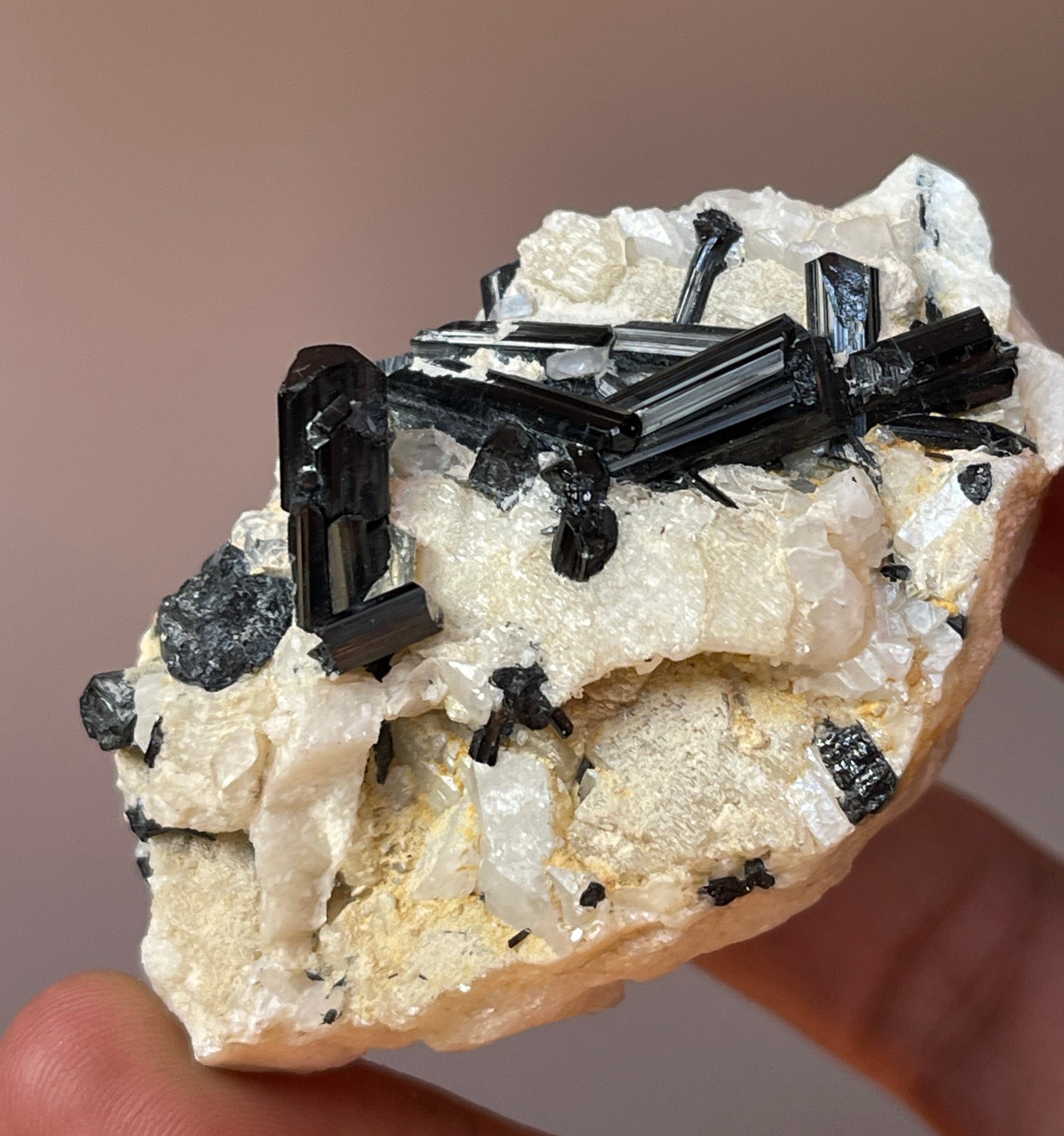 70 gram black tourmaline crystal