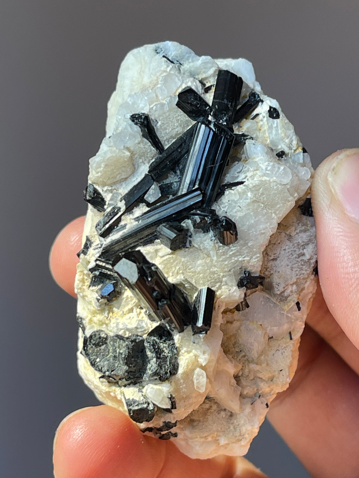 black tourmaline crystal on albite