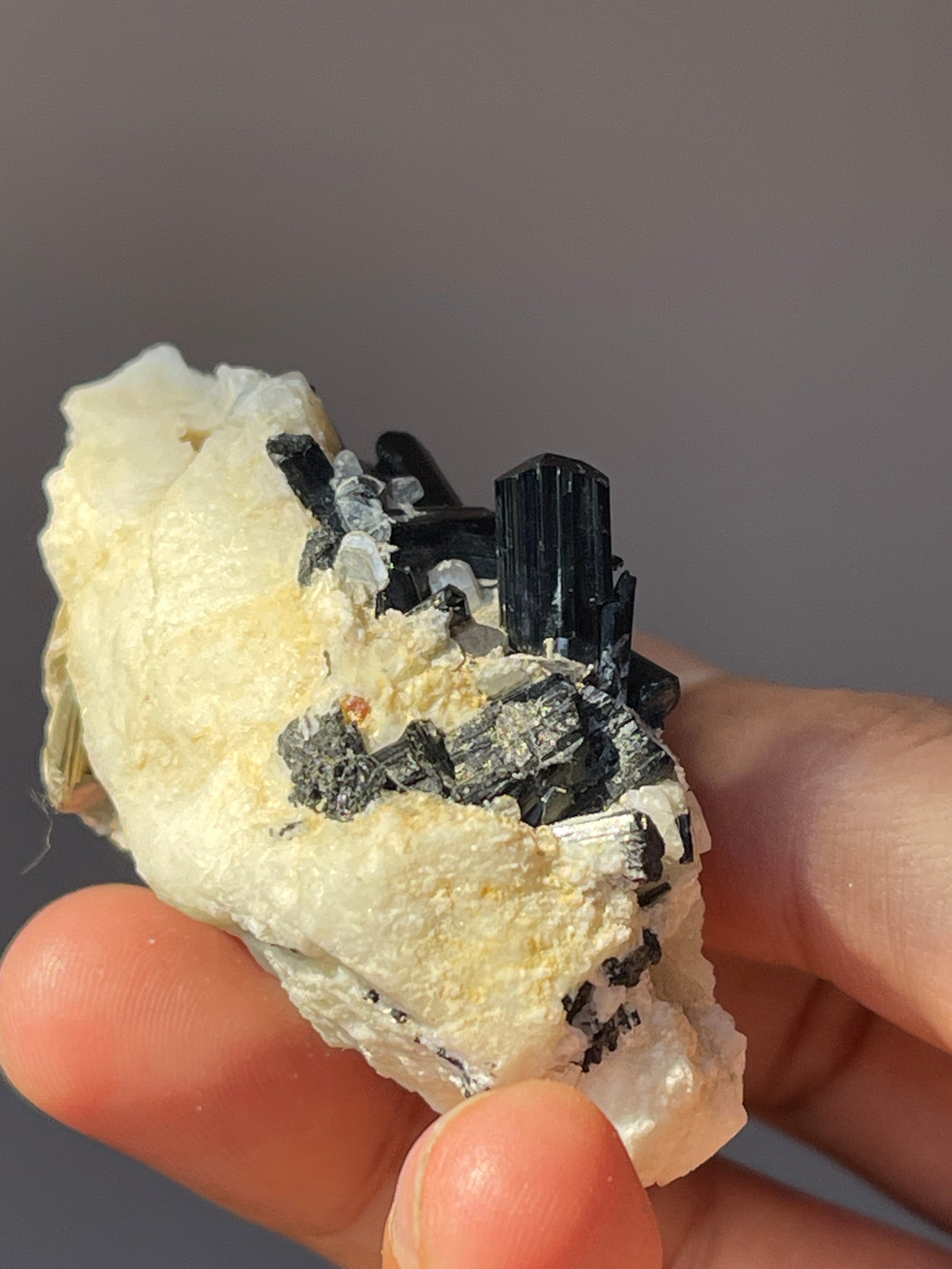 back side of black tourmaline crystal on albite