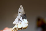 Buy Miniature Brookite on Quartz