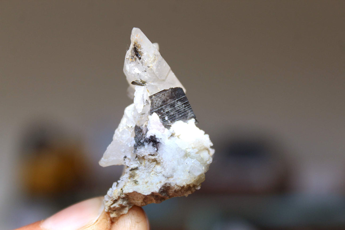 Miniature Brookite on Quartz