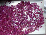 Buy Facet Rough Rubies