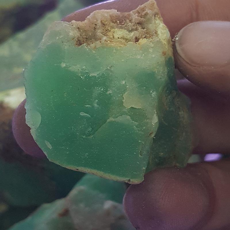 Rough chrysoprase for Cabbing - Buy chrysoprase