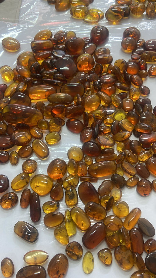 Natural Burma Amber Bermite with Insects Fossils Including dinosaur era, 99 million years old, Cretaceous,