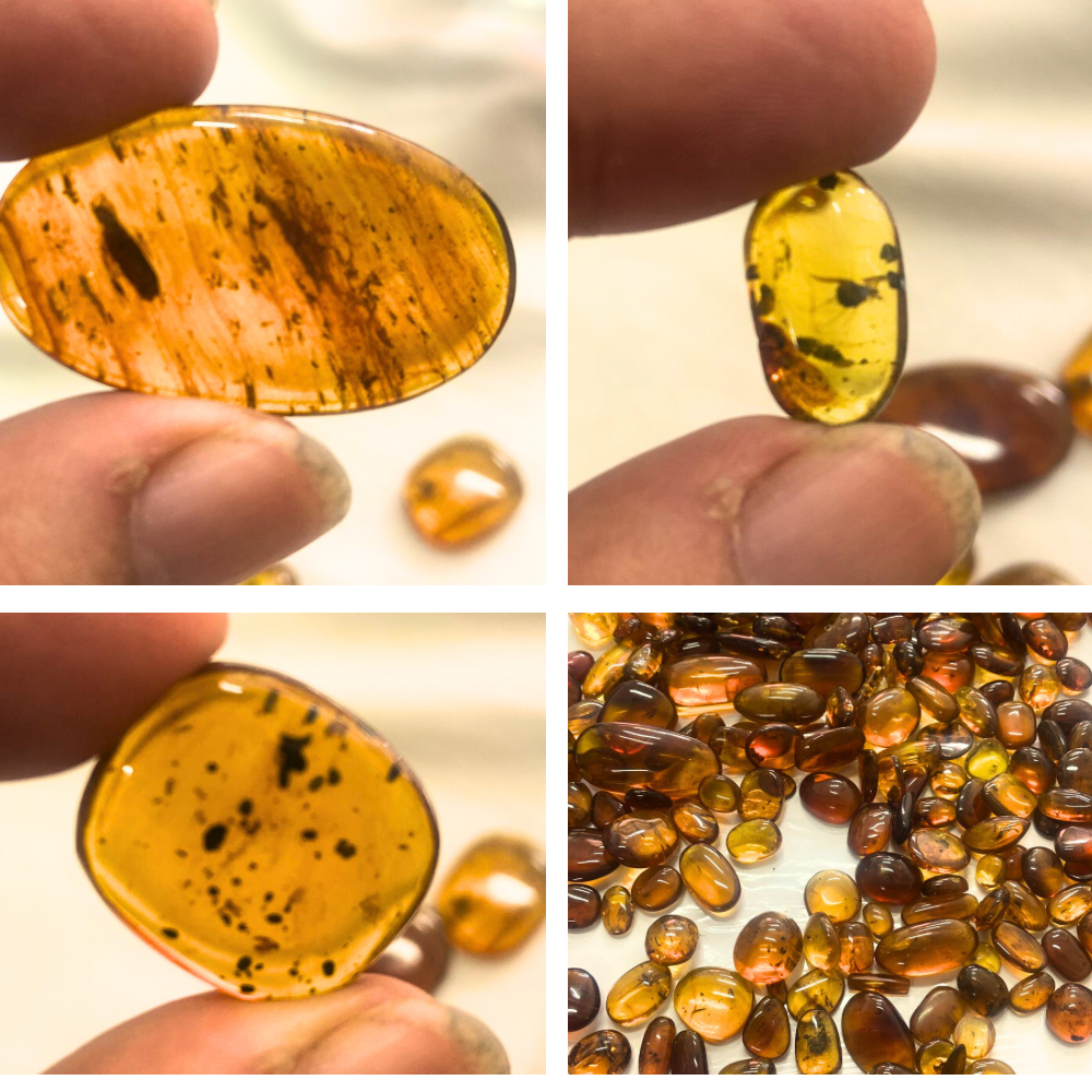 Natural Burma Amber Bermite with Insects Fossils Including dinosaur era, 99 million years old, Cretaceous,