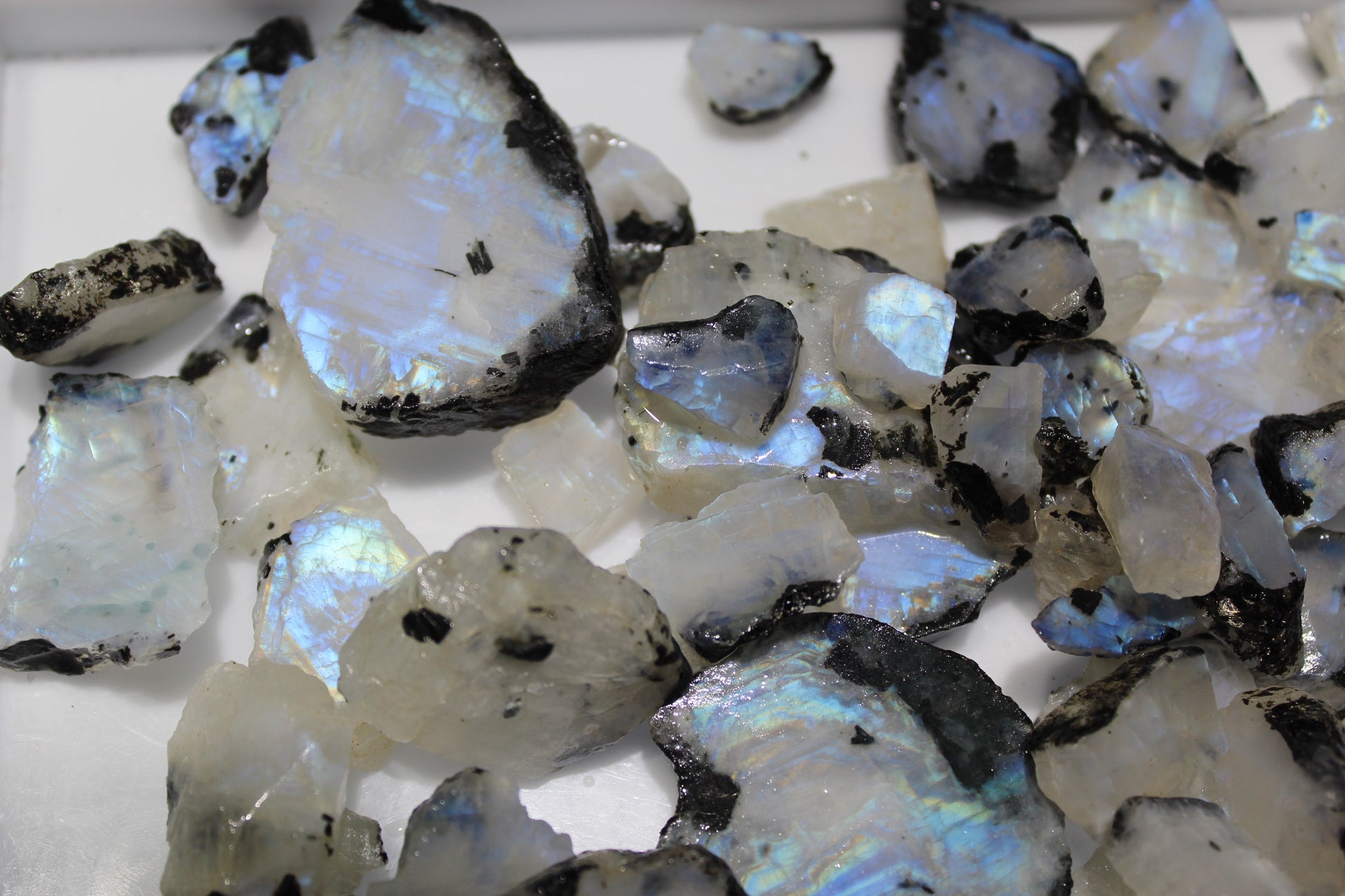 Explore Our Wide Range of Natural Rainbow Moonstones for Purchase