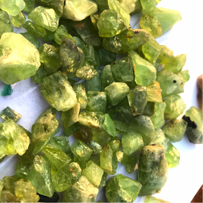 500 Grams Peridot Rough Stones for Cabbing - Folkmarketgems