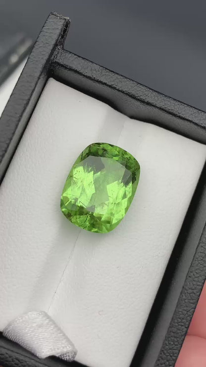 12 carats Cushion and Emerald Unique Green Peridot Loose Stone