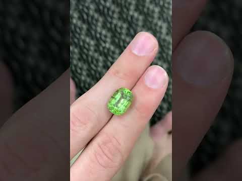 8 carat Octagonal Ludwigite Included Peridot- Green