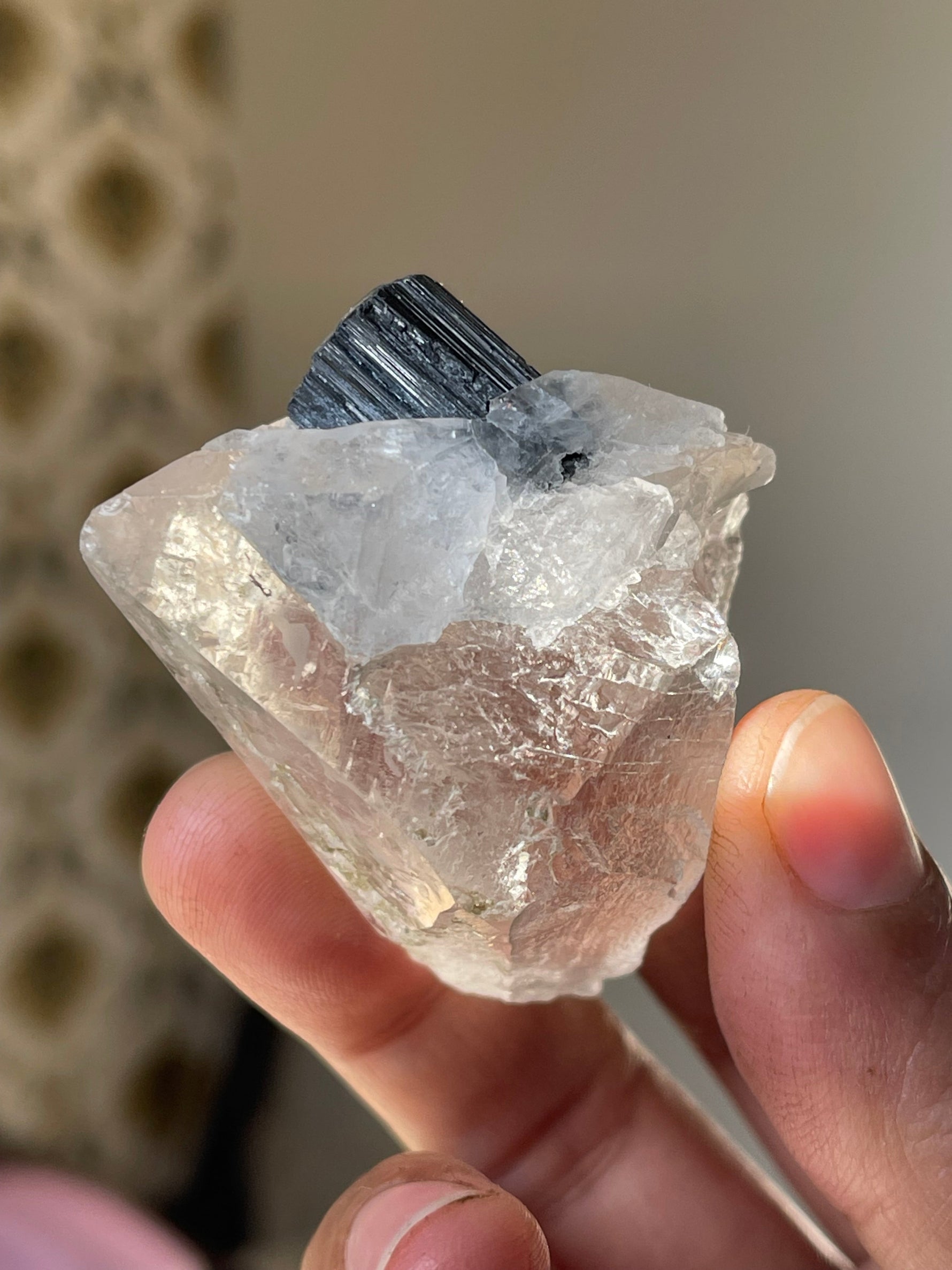 Black Tourmaline on Quartz Crystal Specimen