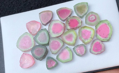 89 Carats Watermelon Tourmaline Slices Lot