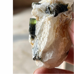 Stak Nala Tourmaline Crystal on Calcite
