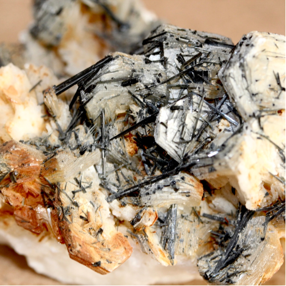 Black Tourmaline Crystals Spray on Albite Slices and Mica | Fine Mineral Specimen